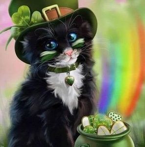 Meet your Posher, Donna